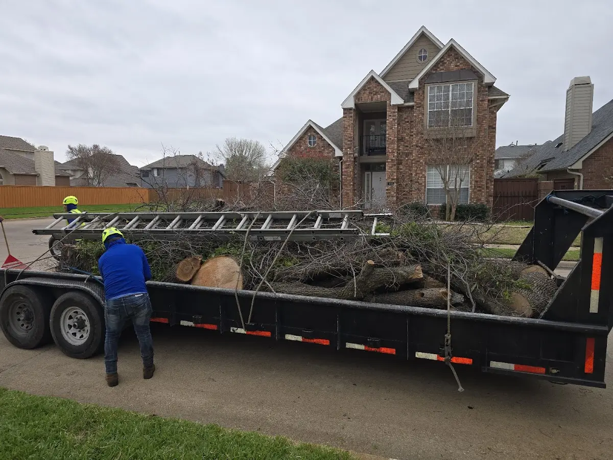 Expert Tree Pest Control with proper safety equipment in Elk